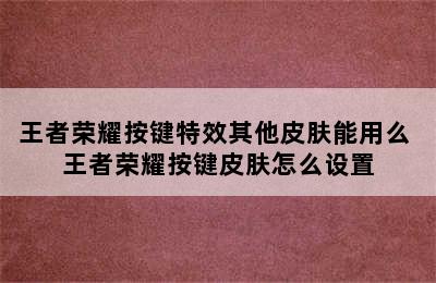 王者荣耀按键特效其他皮肤能用么 王者荣耀按键皮肤怎么设置